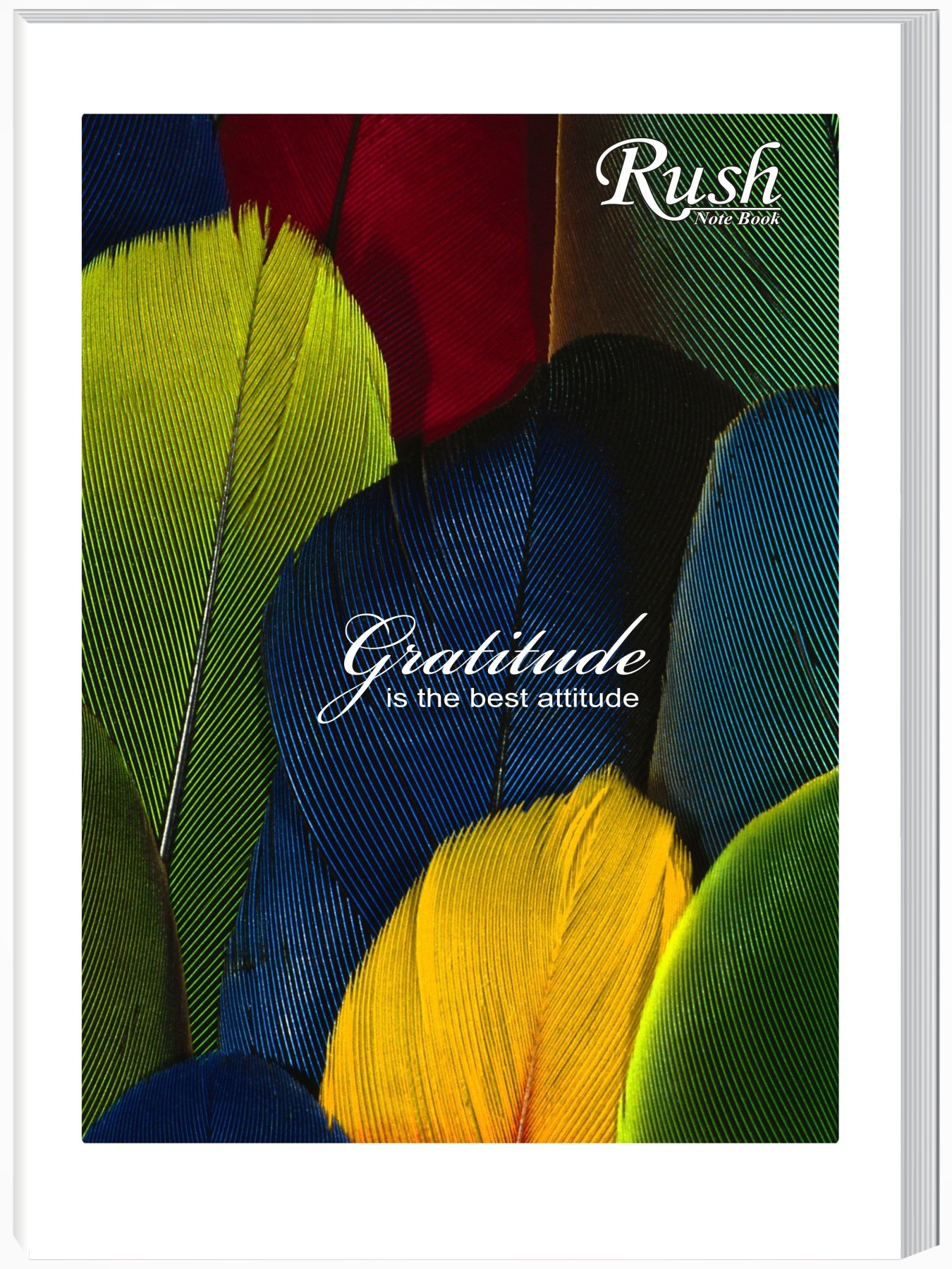 Rush 240 Pages Premium A4 Notebook - Single Line Ruled